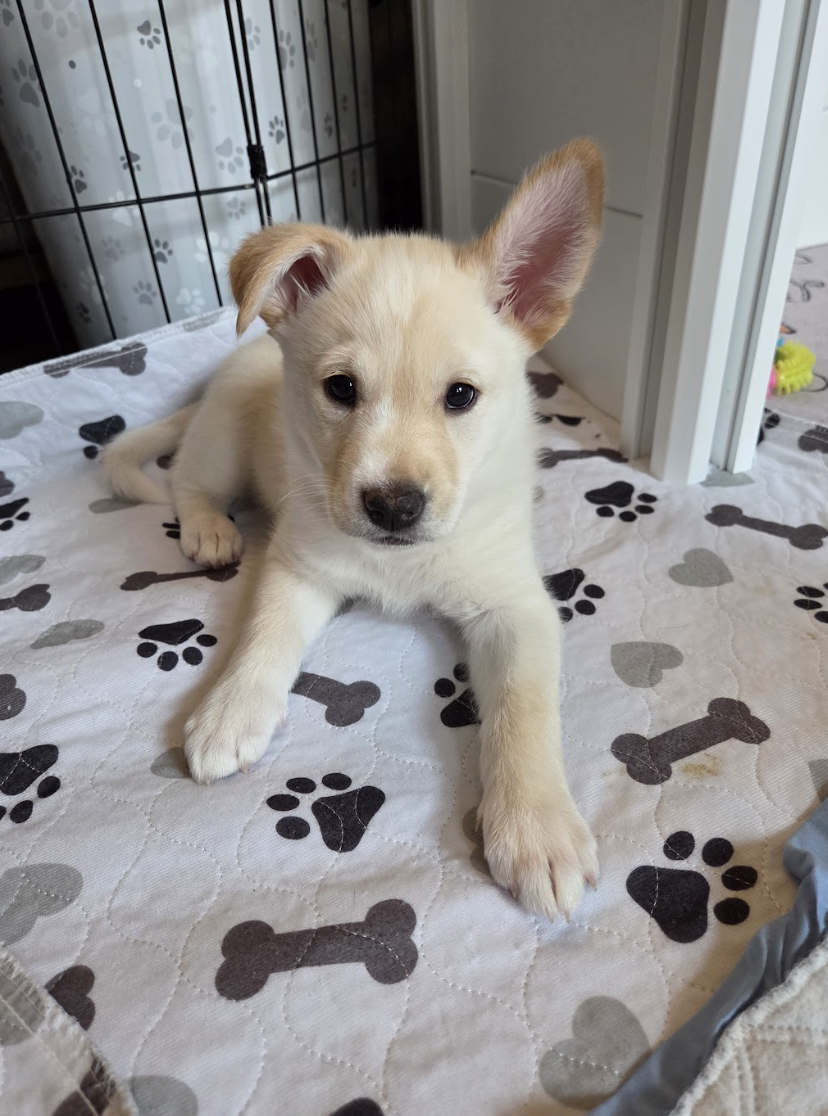 Screenshot 2026-01-14 at 6.37.22 PM.png