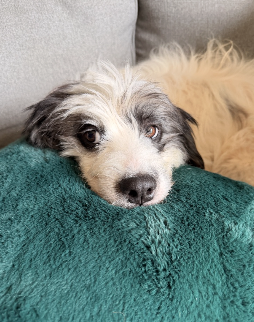 Screenshot 2026-02-28 at 4.17.02 PM.png