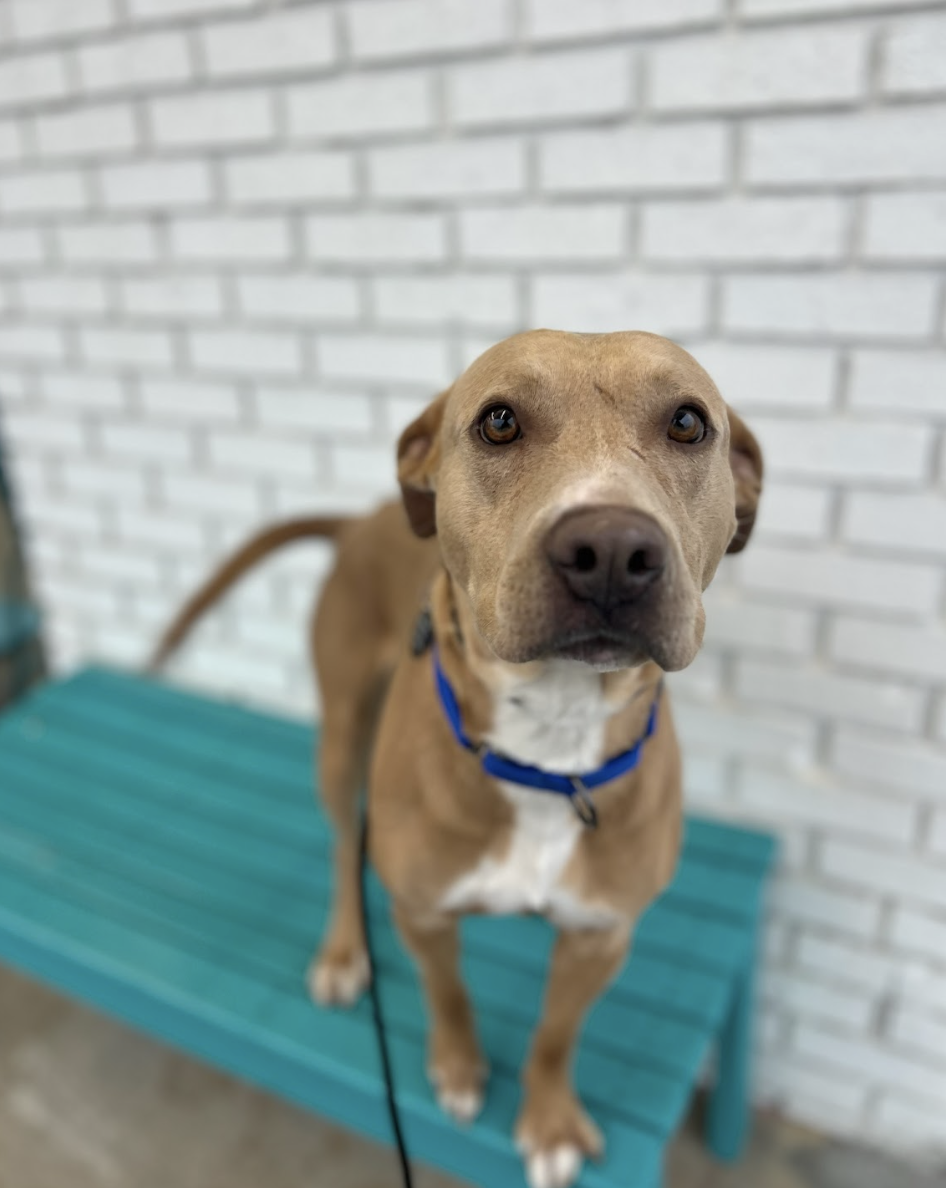 Screenshot 2026-02-18 at 7.07.58 PM.png