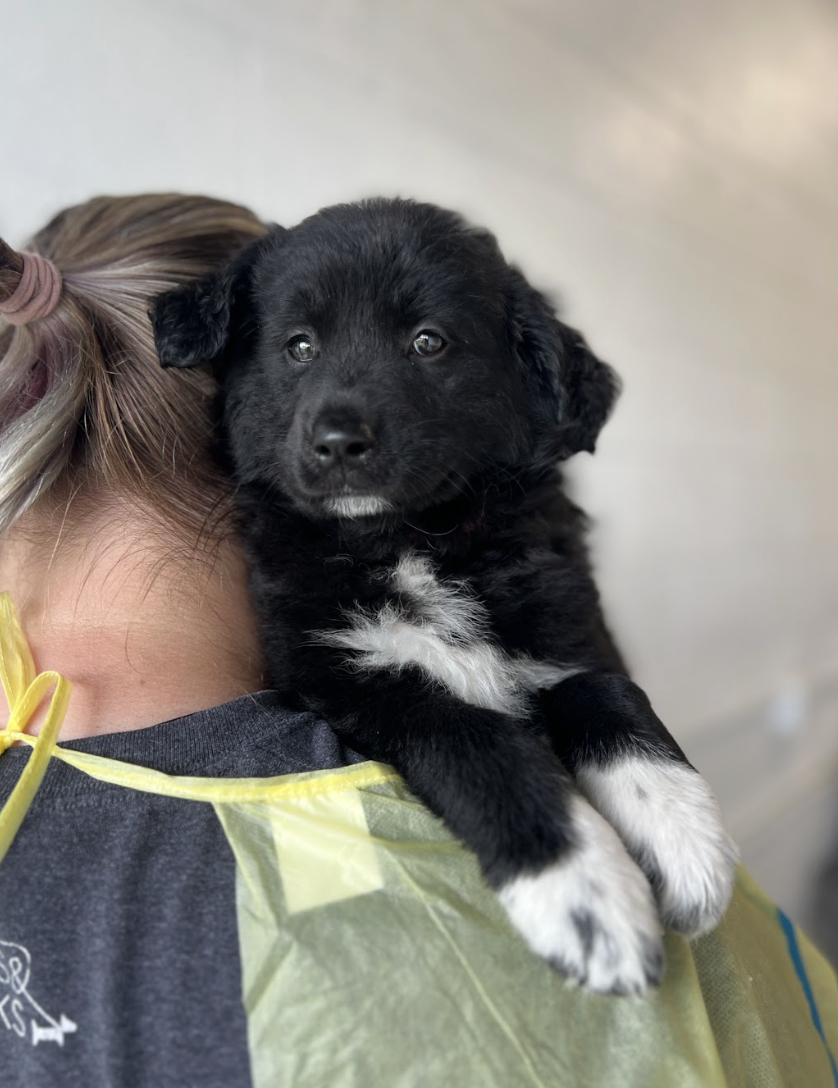 Screenshot 2026-04-16 at 4.20.11 PM.png