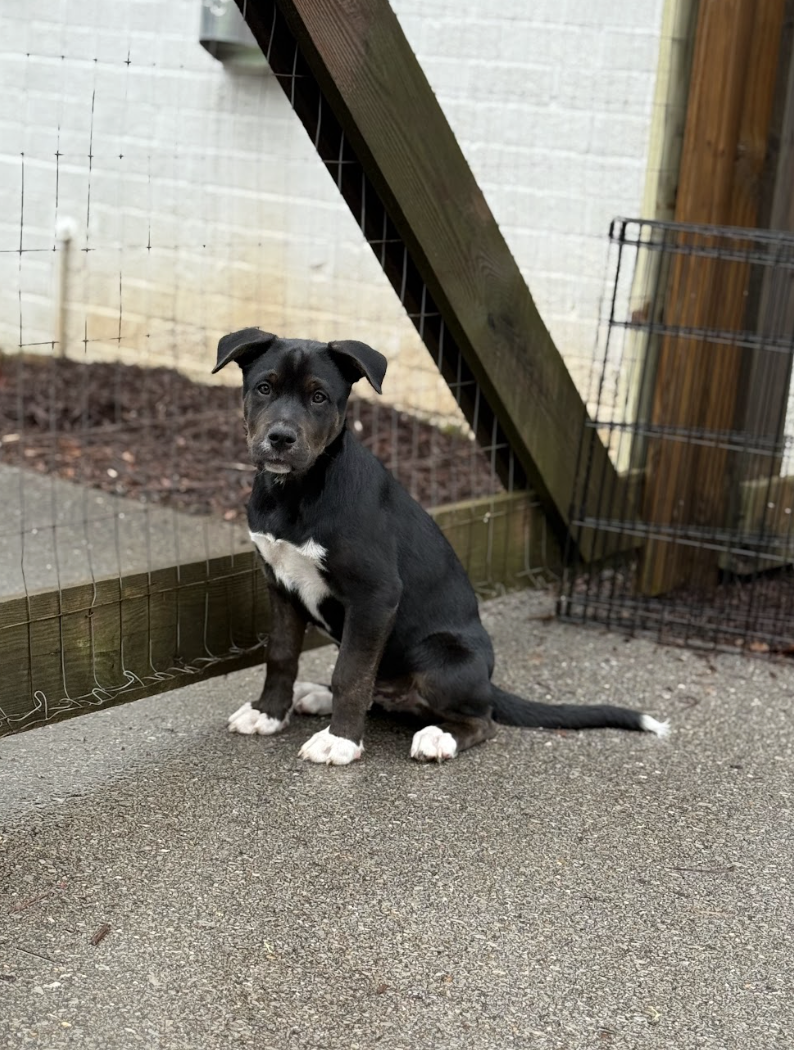 Screenshot 2026-03-12 at 3.36.21 PM.png