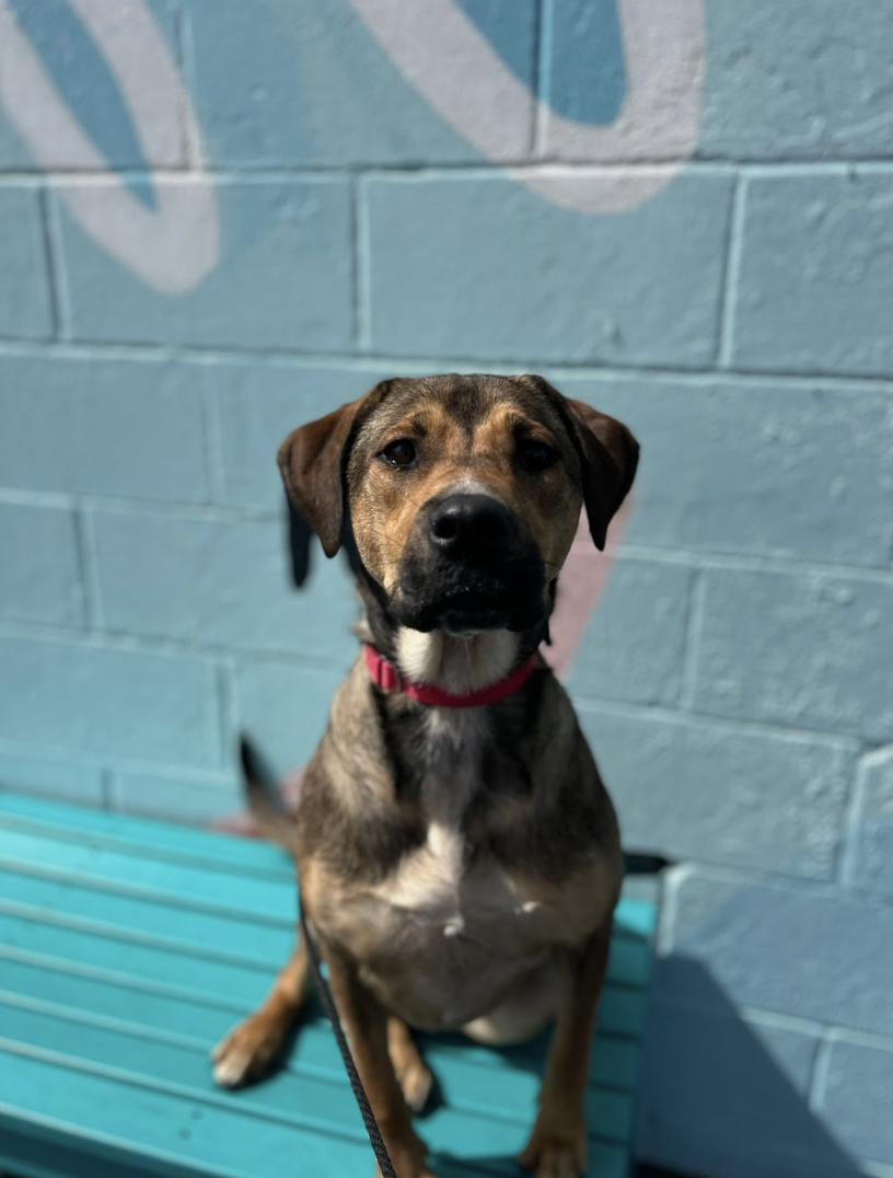 Screenshot 2026-03-14 at 5.10.39 PM.png