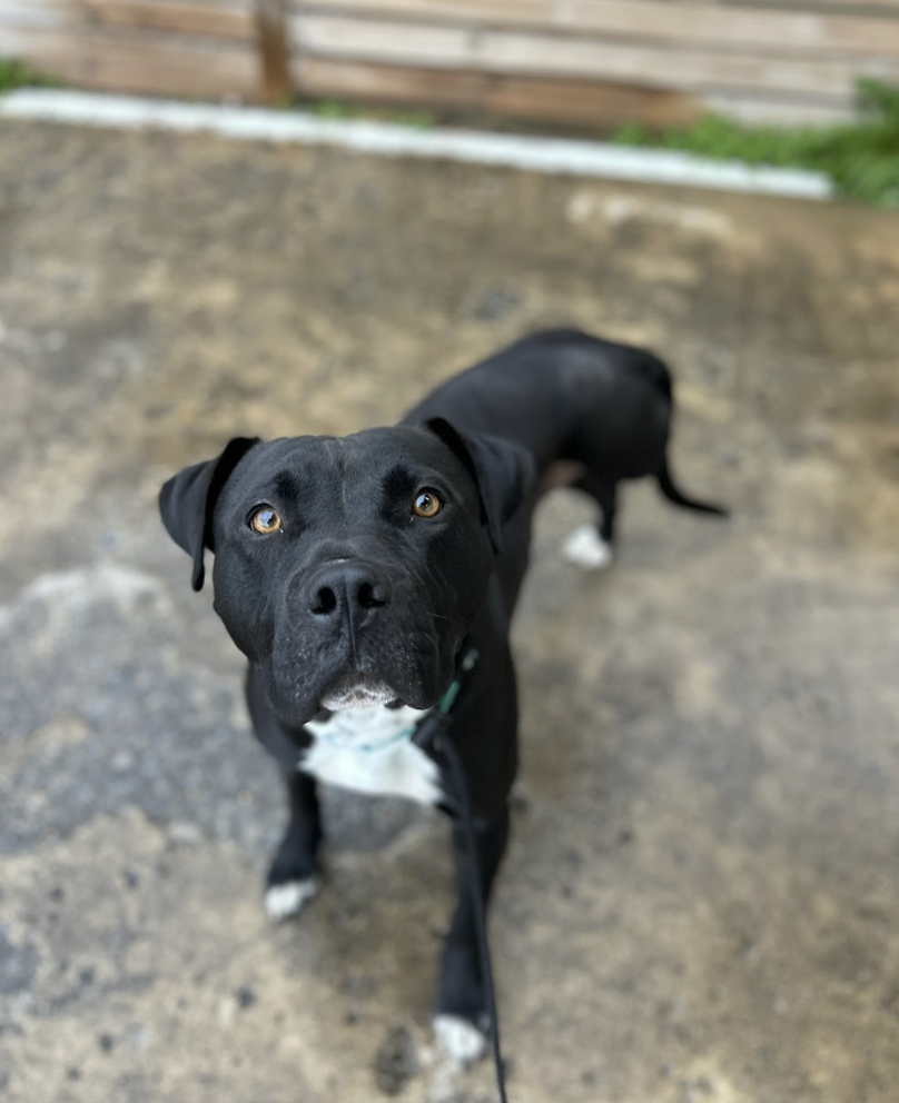 Screenshot 2026-01-14 at 3.43.14 PM.png