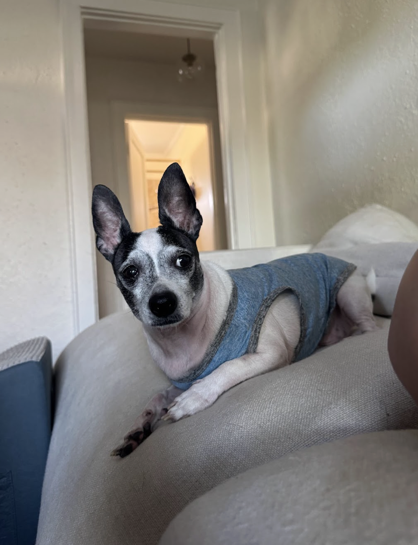 Screenshot 2026-04-22 at 4.12.53 PM.png