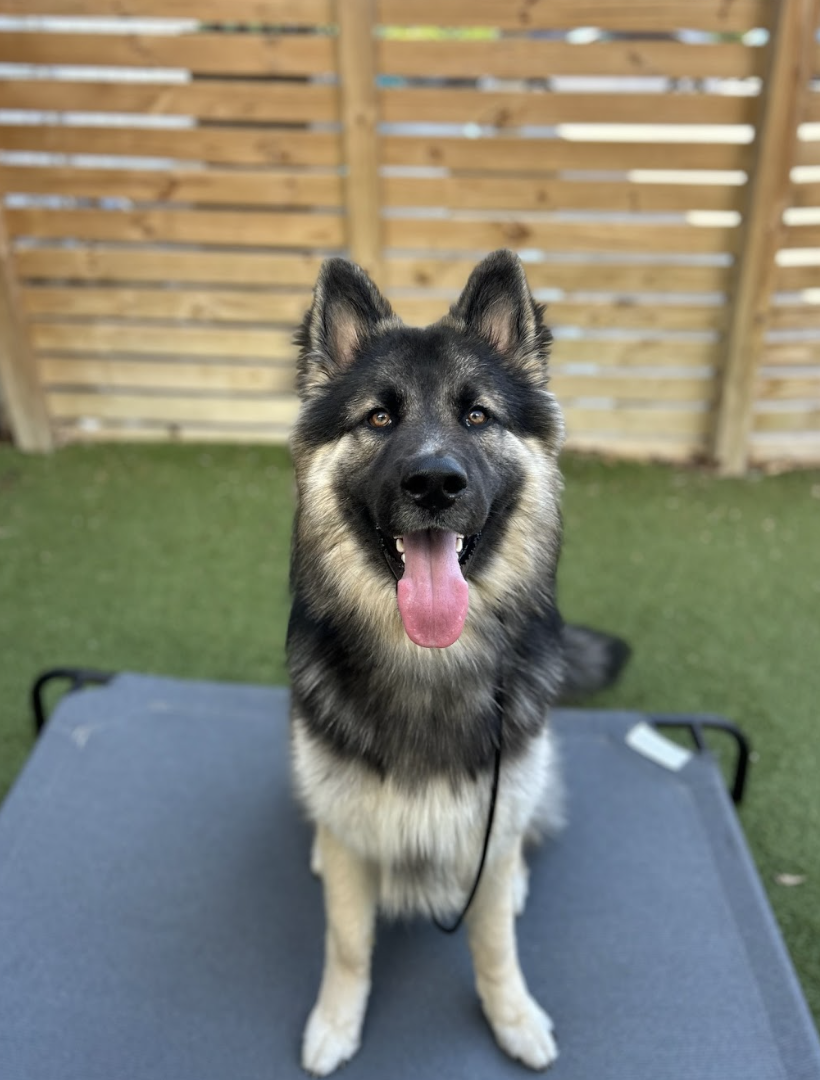 Screenshot 2026-04-23 at 1.44.42 PM.png