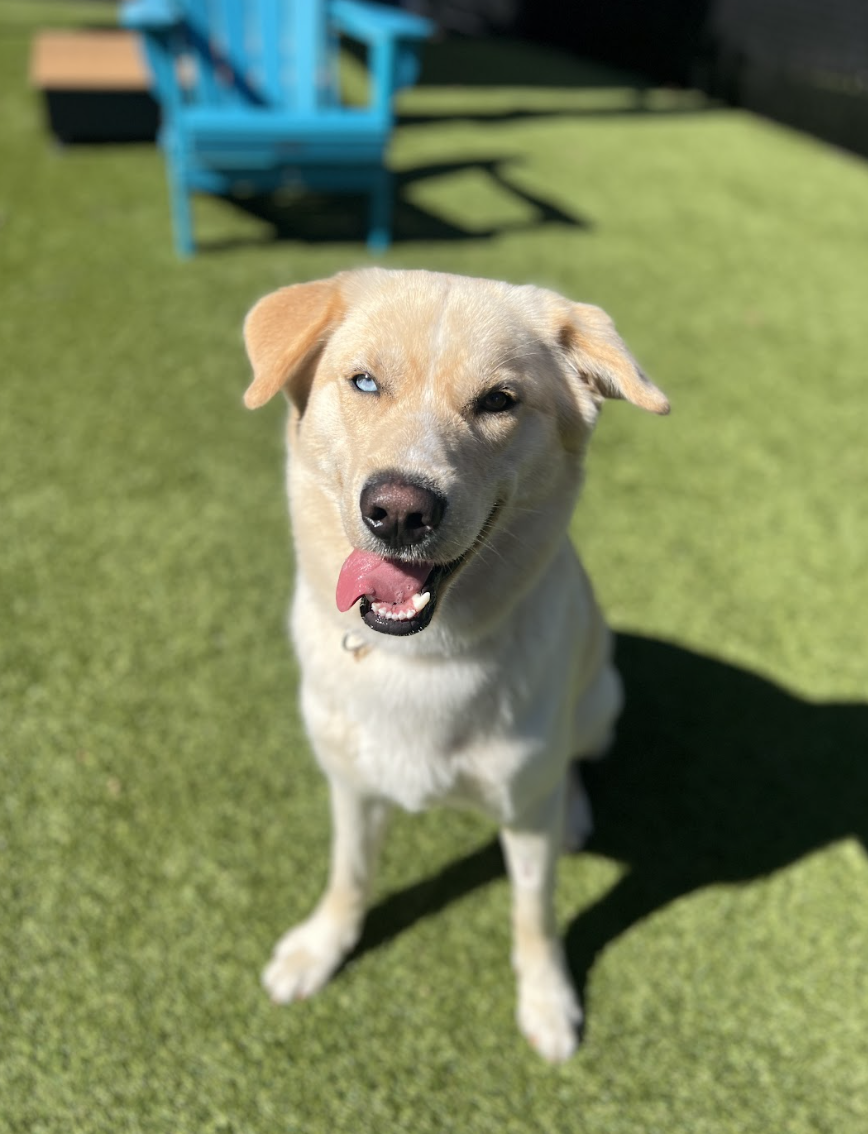 Screenshot 2026-02-27 at 4.41.44 PM.png