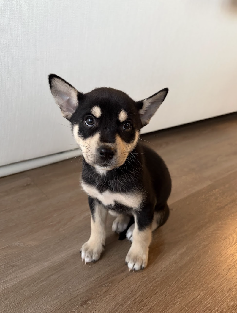 Screenshot 2026-01-15 at 7.46.33 PM.png