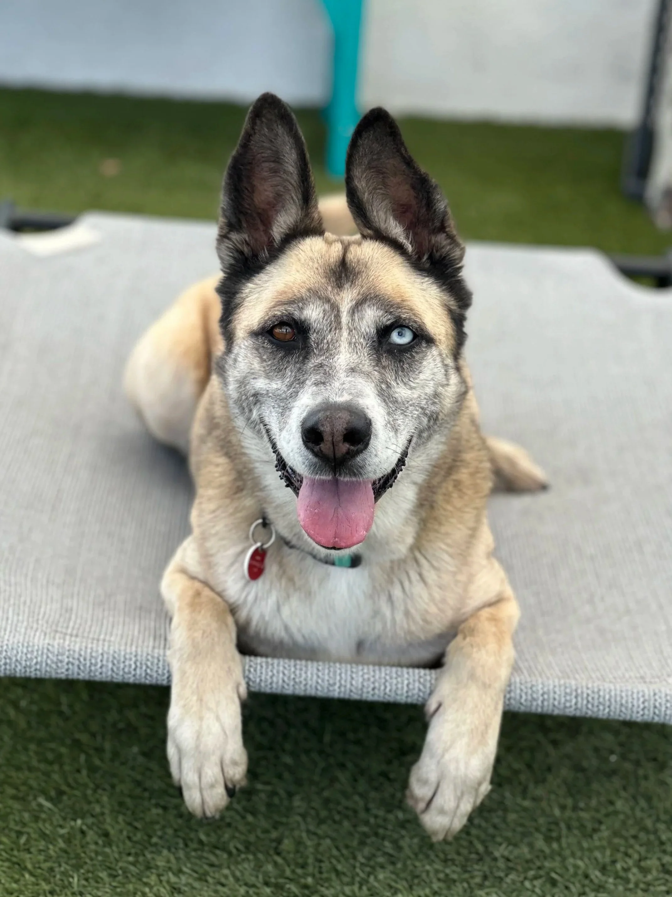 Jada