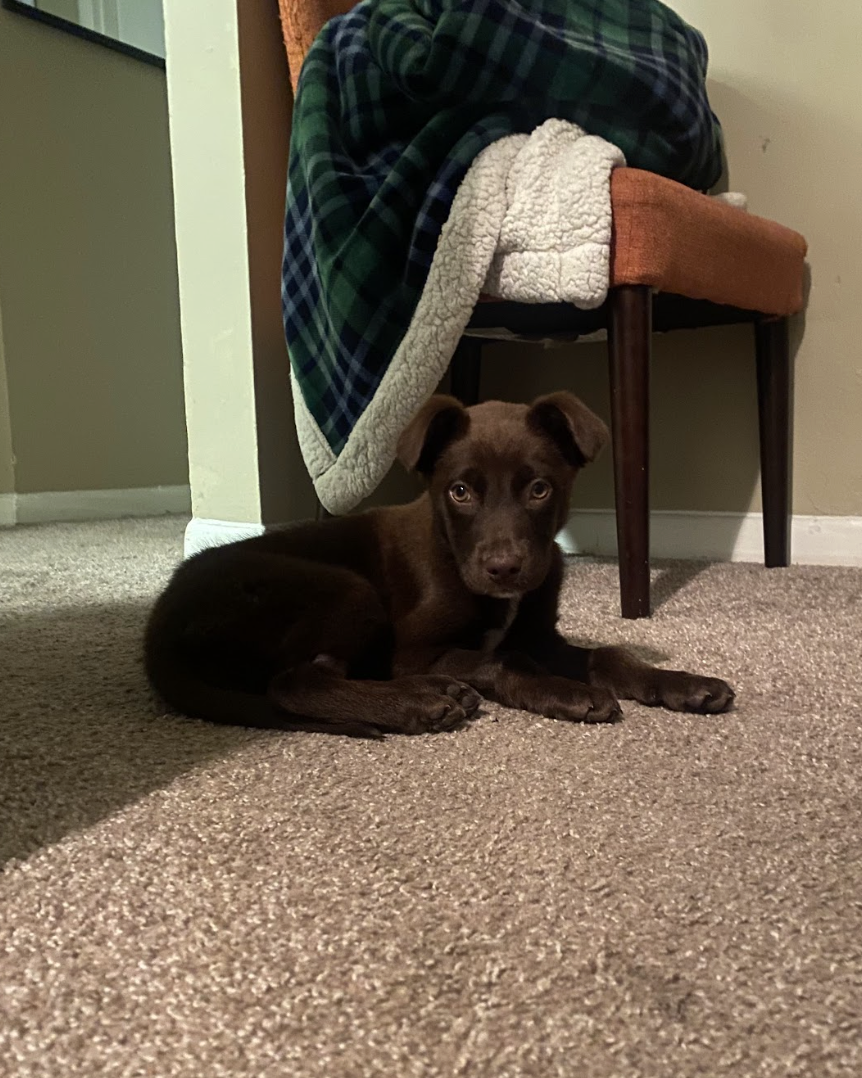 Screenshot 2026-02-05 at 1.54.52 PM.png