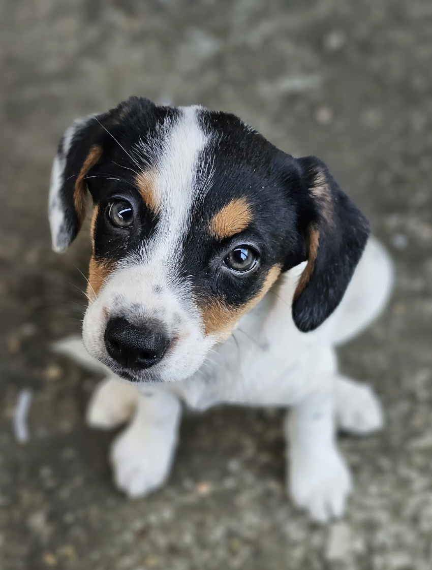 Screenshot 2026-04-03 at 1.02.16 PM.png