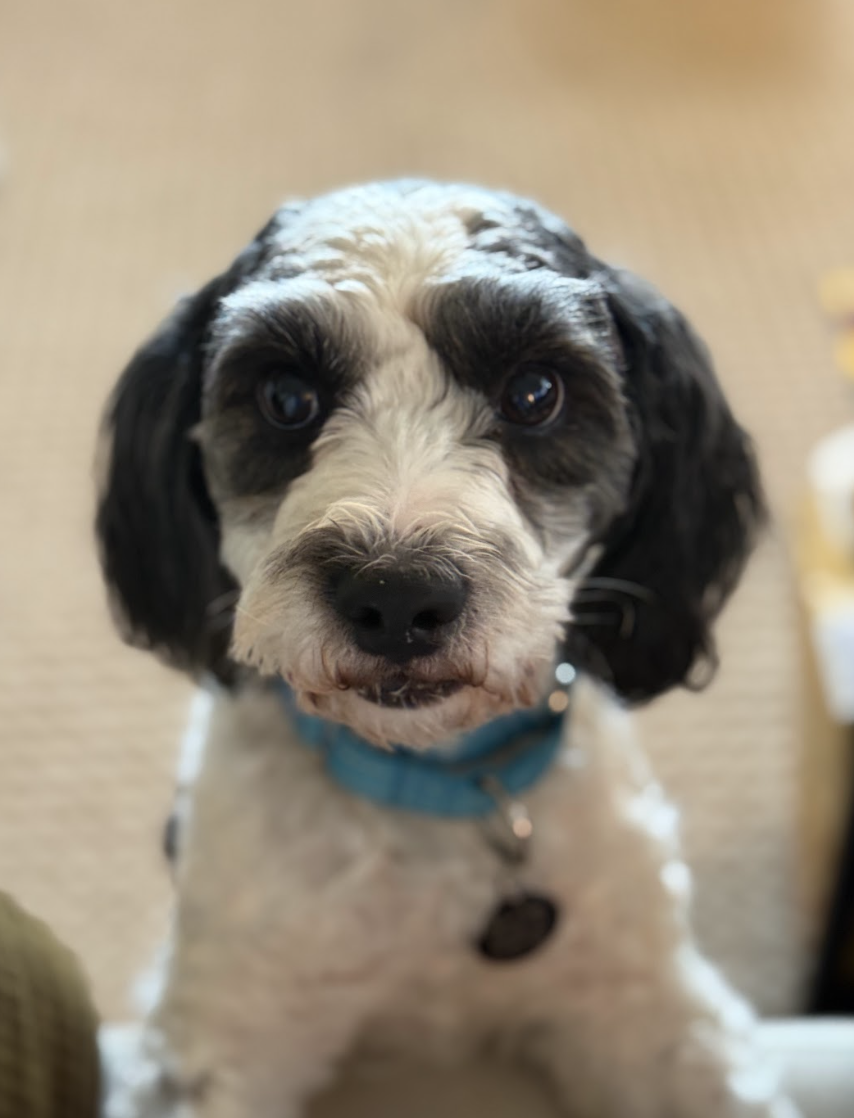 Screenshot 2026-04-22 at 6.04.31 PM.png