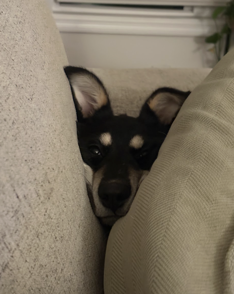 Screenshot 2026-04-29 at 1.50.15 PM.png