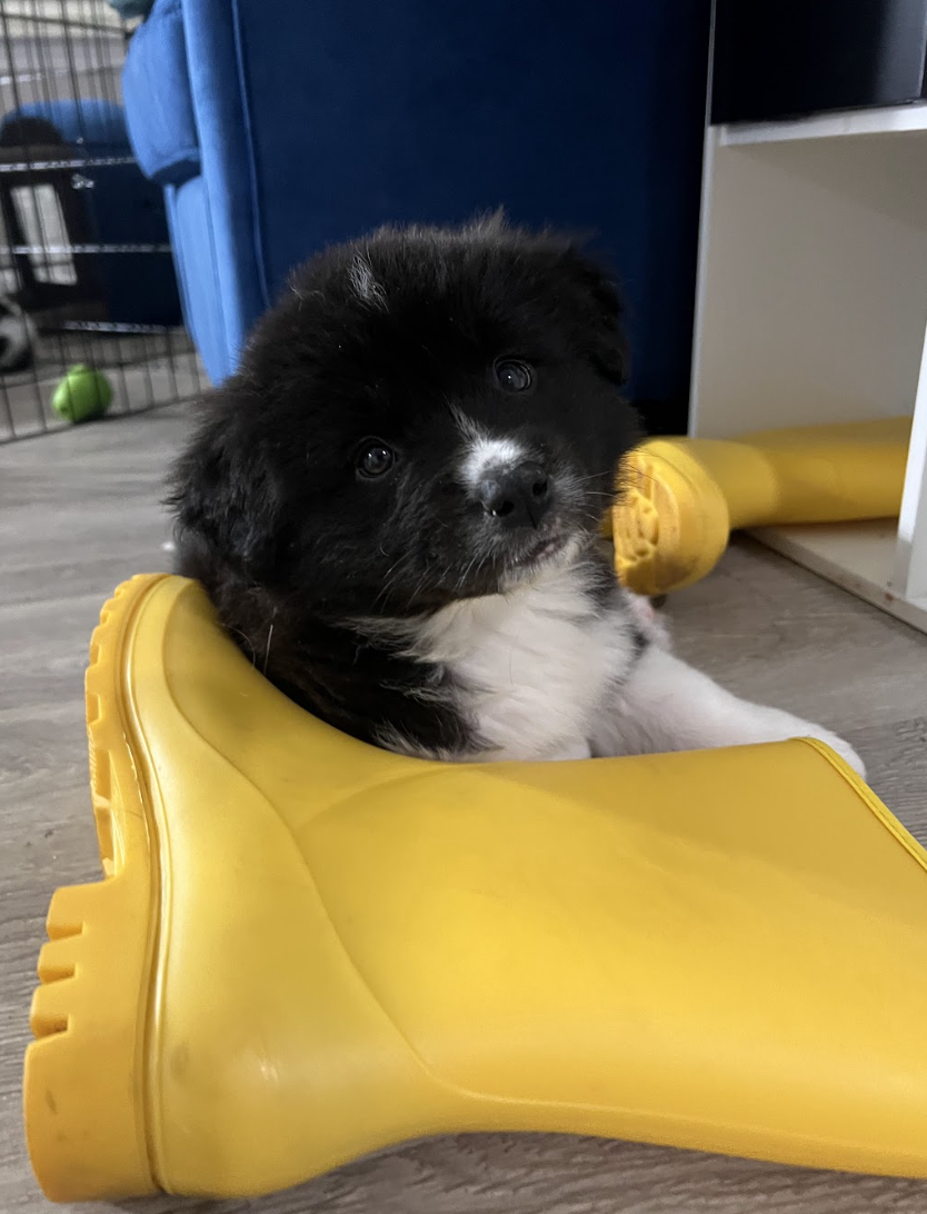 Screenshot 2026-04-13 at 2.44.53 PM.png