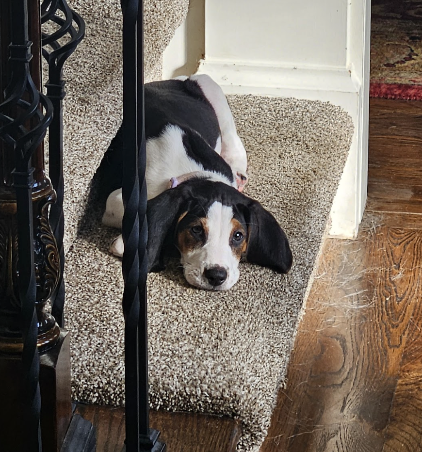 Screenshot 2026-01-14 at 9.35.18 PM.png