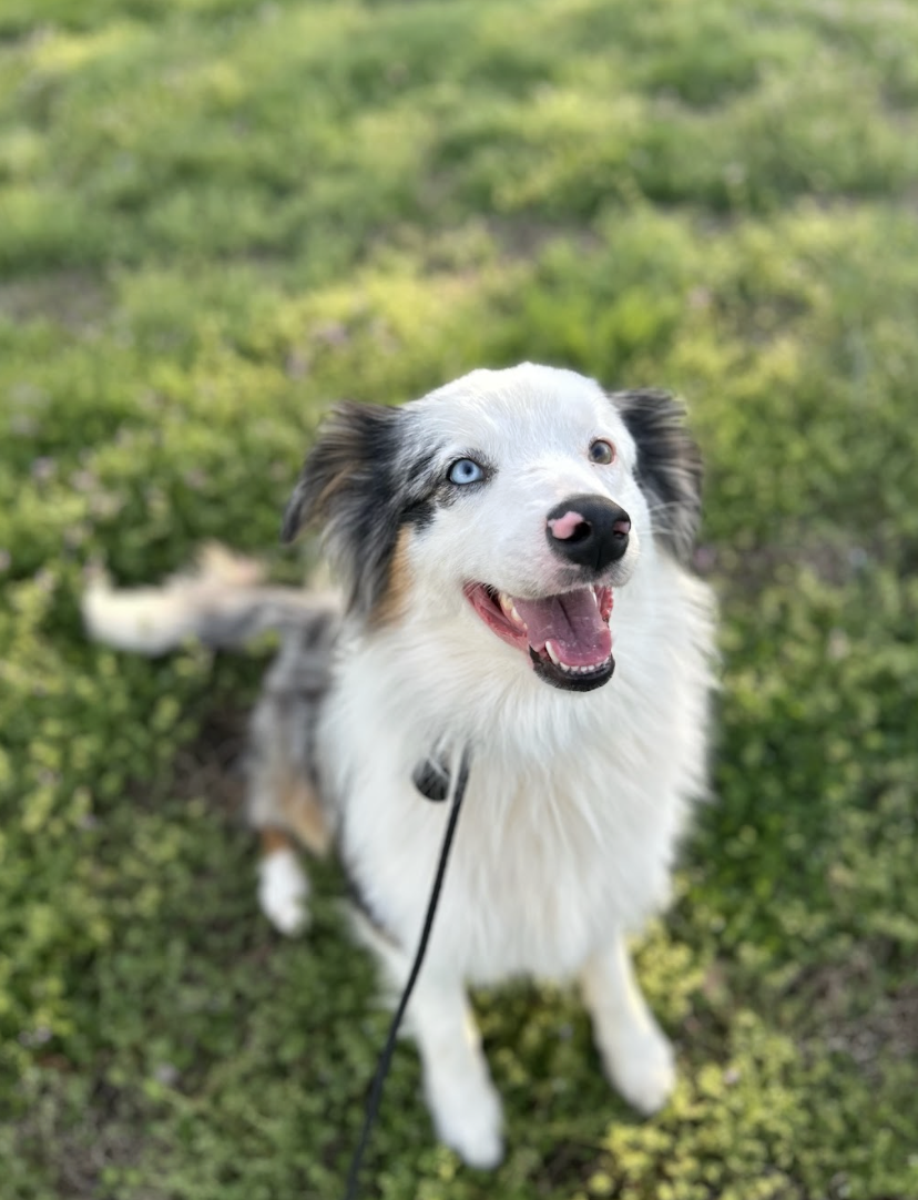 Screenshot 2026-03-14 at 4.46.57 PM.png