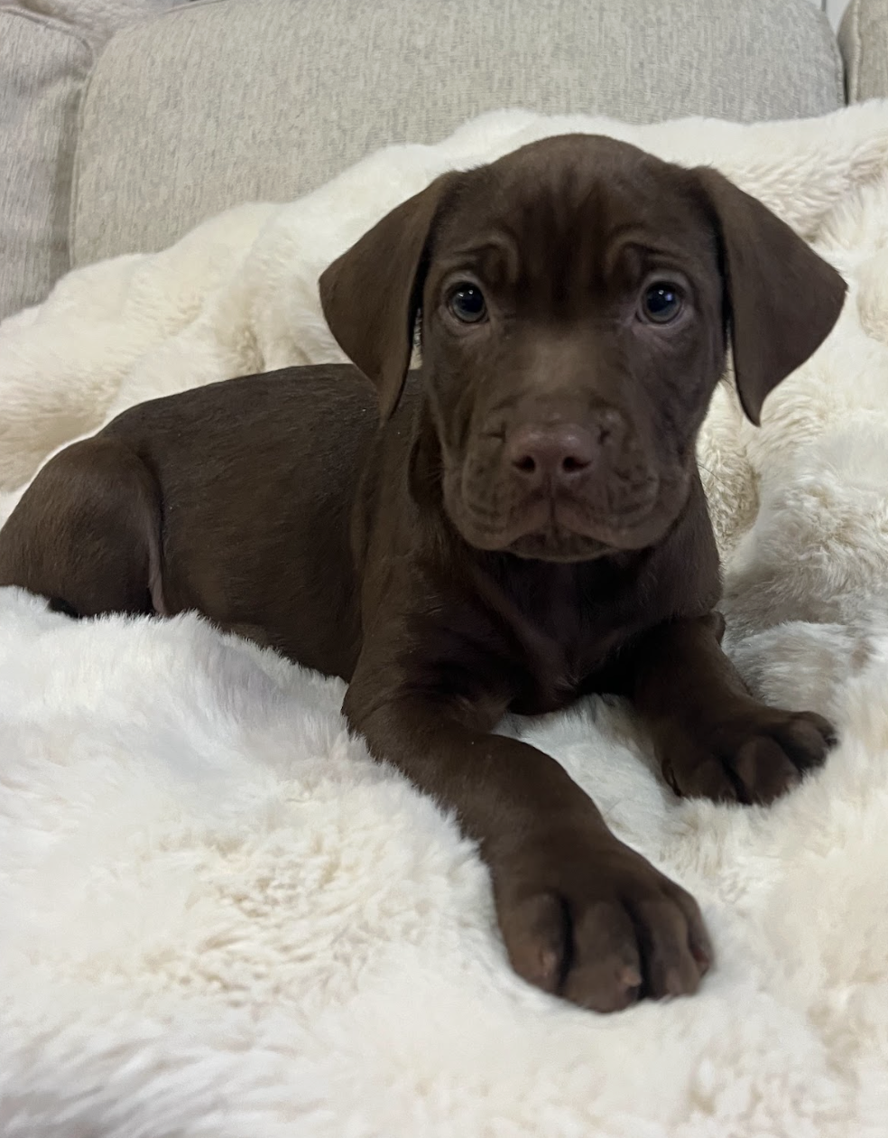 Screenshot 2025-12-31 at 1.24.41 PM.png