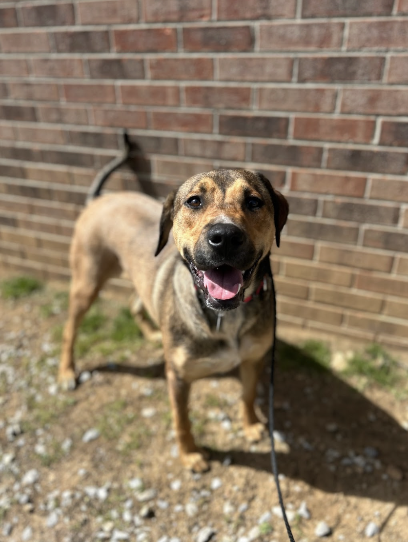 Screenshot 2026-03-14 at 5.11.17 PM.png