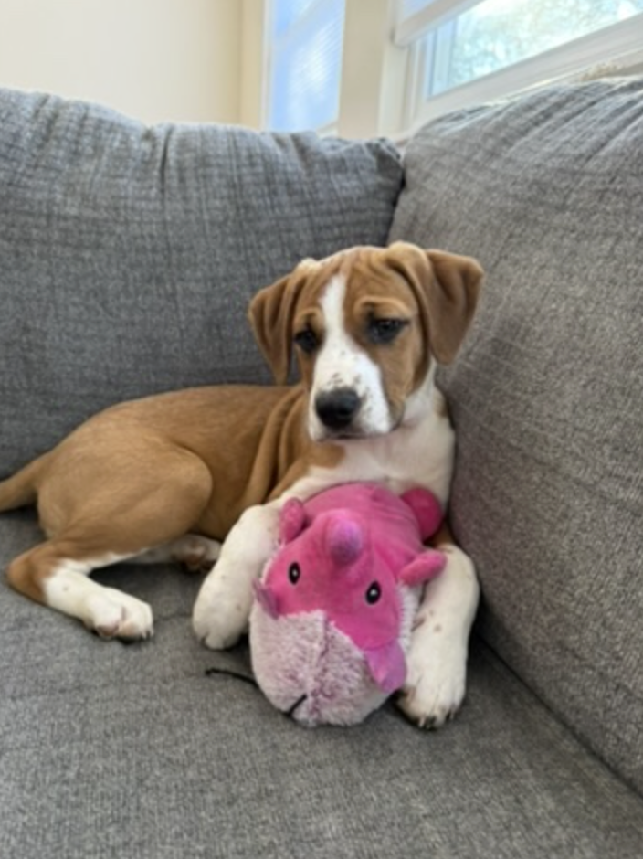 Screenshot 2026-01-29 at 12.10.13 PM.png