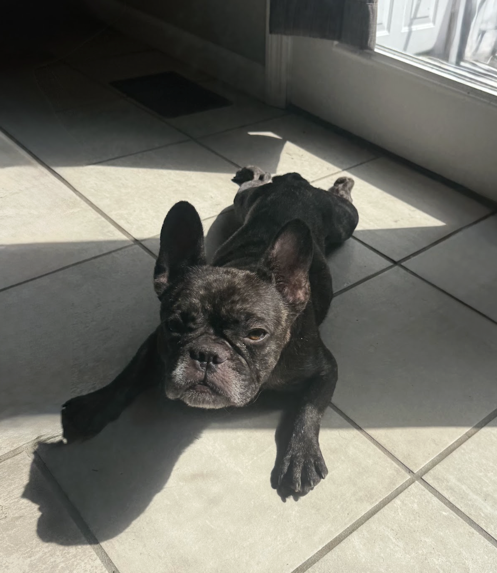 Screenshot 2026-04-20 at 2.51.58 PM.png