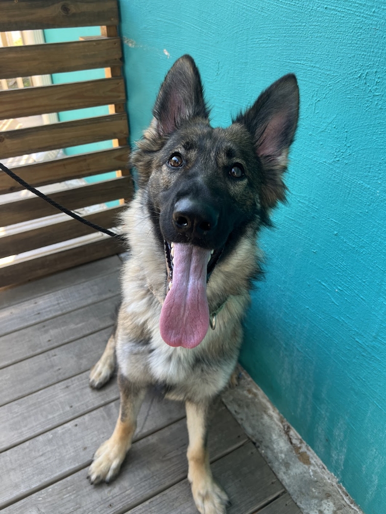 Screenshot 2026-10-01 at 2.03.11 PM.png