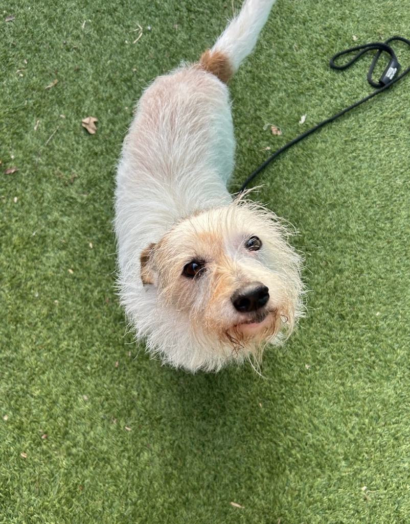 Screenshot 2026-03-05 at 2.27.40 PM.png