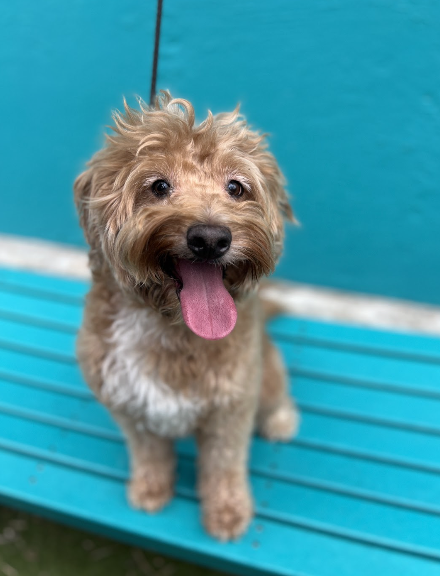 Screenshot 2026-02-27 at 12.40.13 PM.png