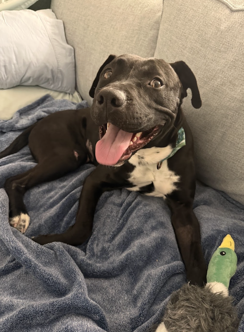 Screenshot 2026-02-26 at 2.17.32 PM.png