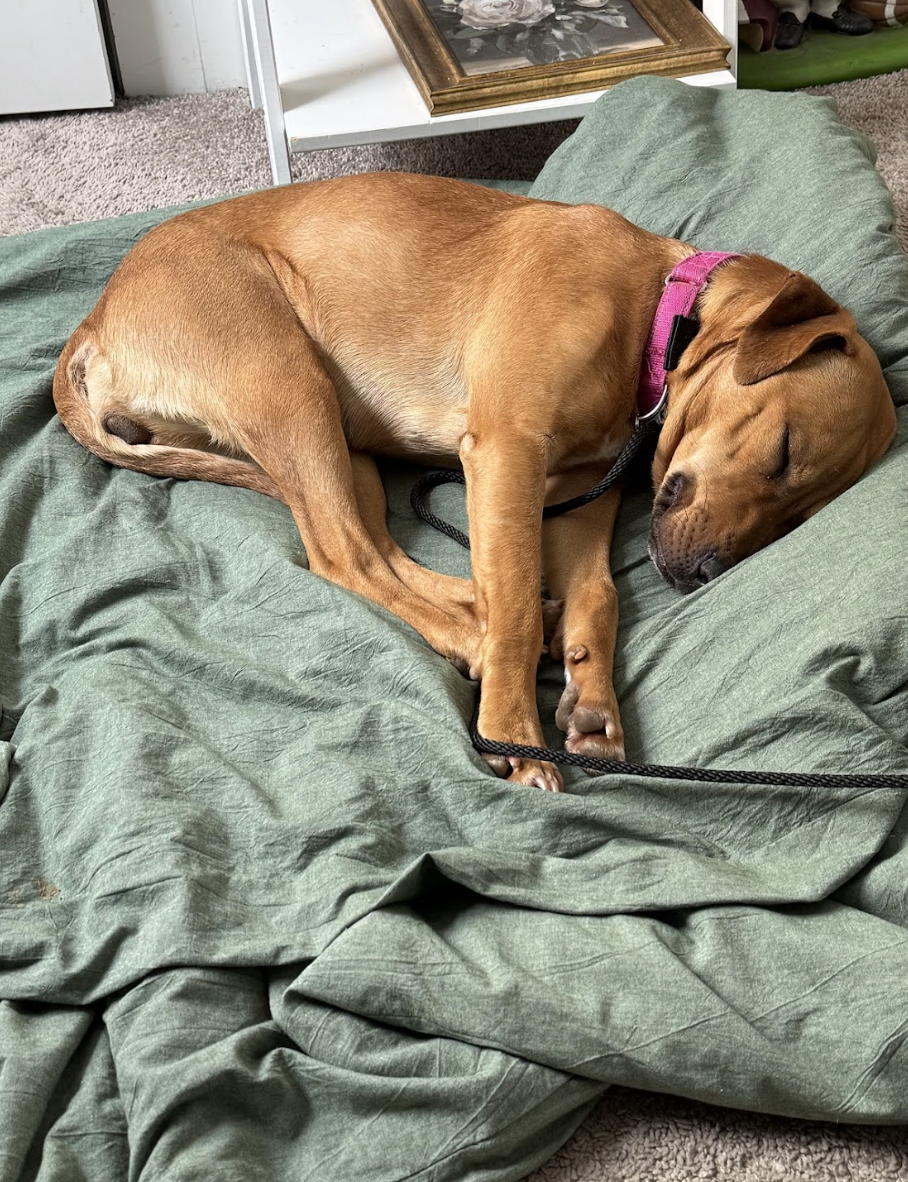 Screenshot 2026-02-27 at 2.06.58 PM.png