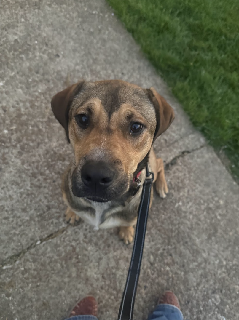 Screenshot 2026-04-22 at 4.23.34 PM.png