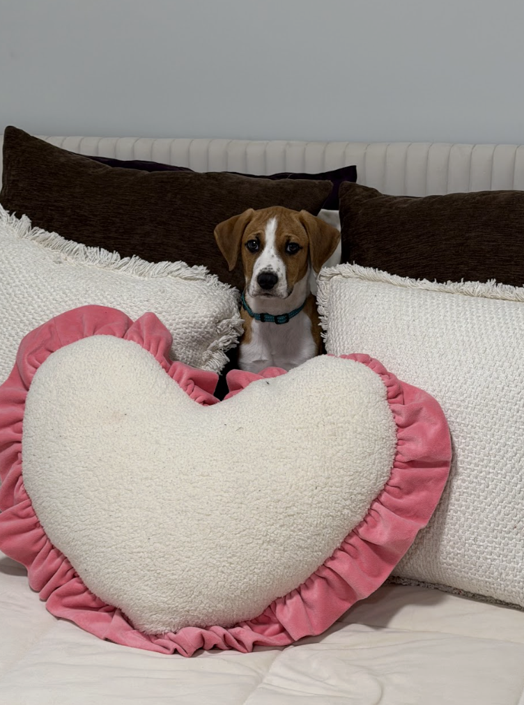 Screenshot 2026-02-13 at 1.23.58 PM.png