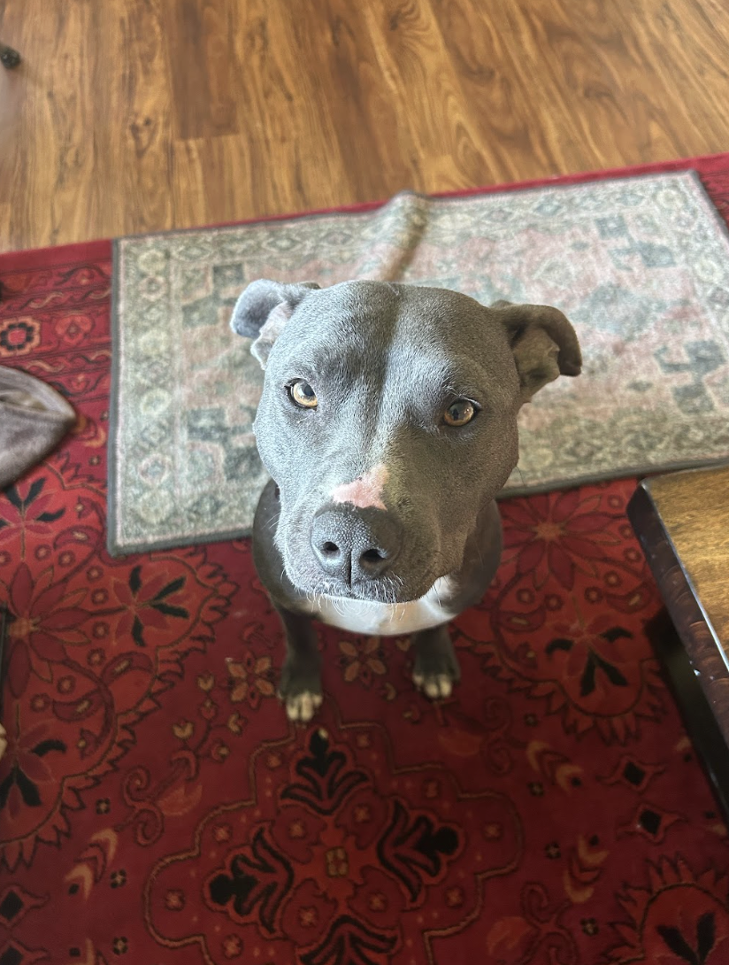 Screenshot 2026-04-22 at 3.37.38 PM.png