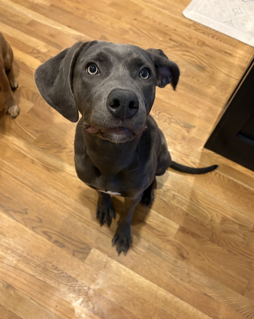 Screenshot 2026-01-24 at 3.28.29 PM.png