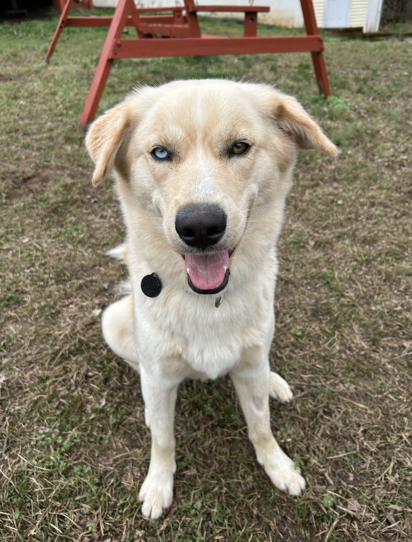 Screenshot 2026-04-22 at 5.22.21 PM.png