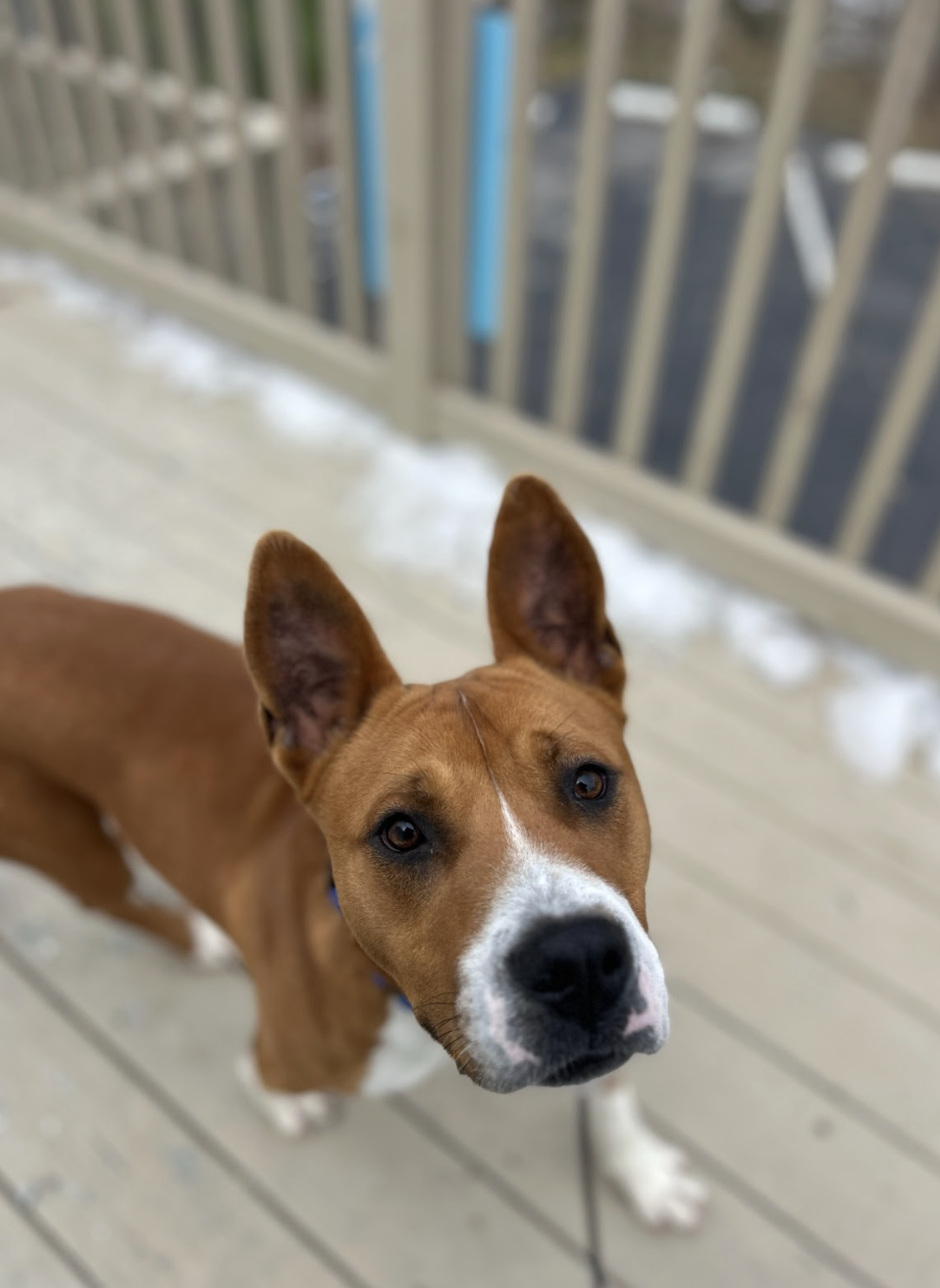 Screenshot 2026-02-16 at 6.58.01 PM.png