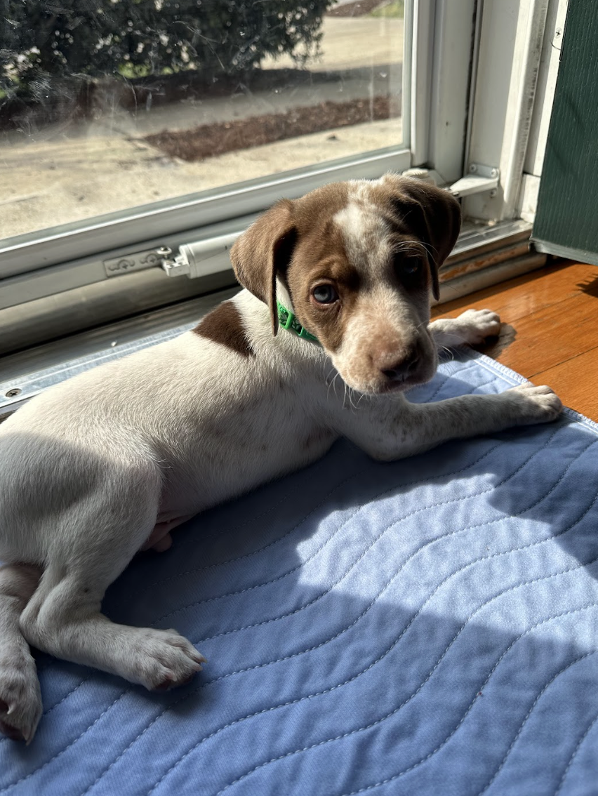 Screenshot 2026-03-10 at 8.57.51 PM.png