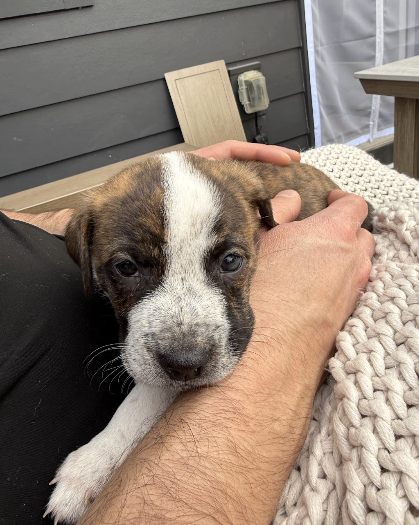 Screenshot 2026-03-27 at 7.57.22 PM.png