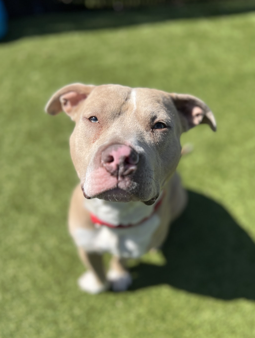 Screenshot 2026-03-24 at 12.42.41 PM.png