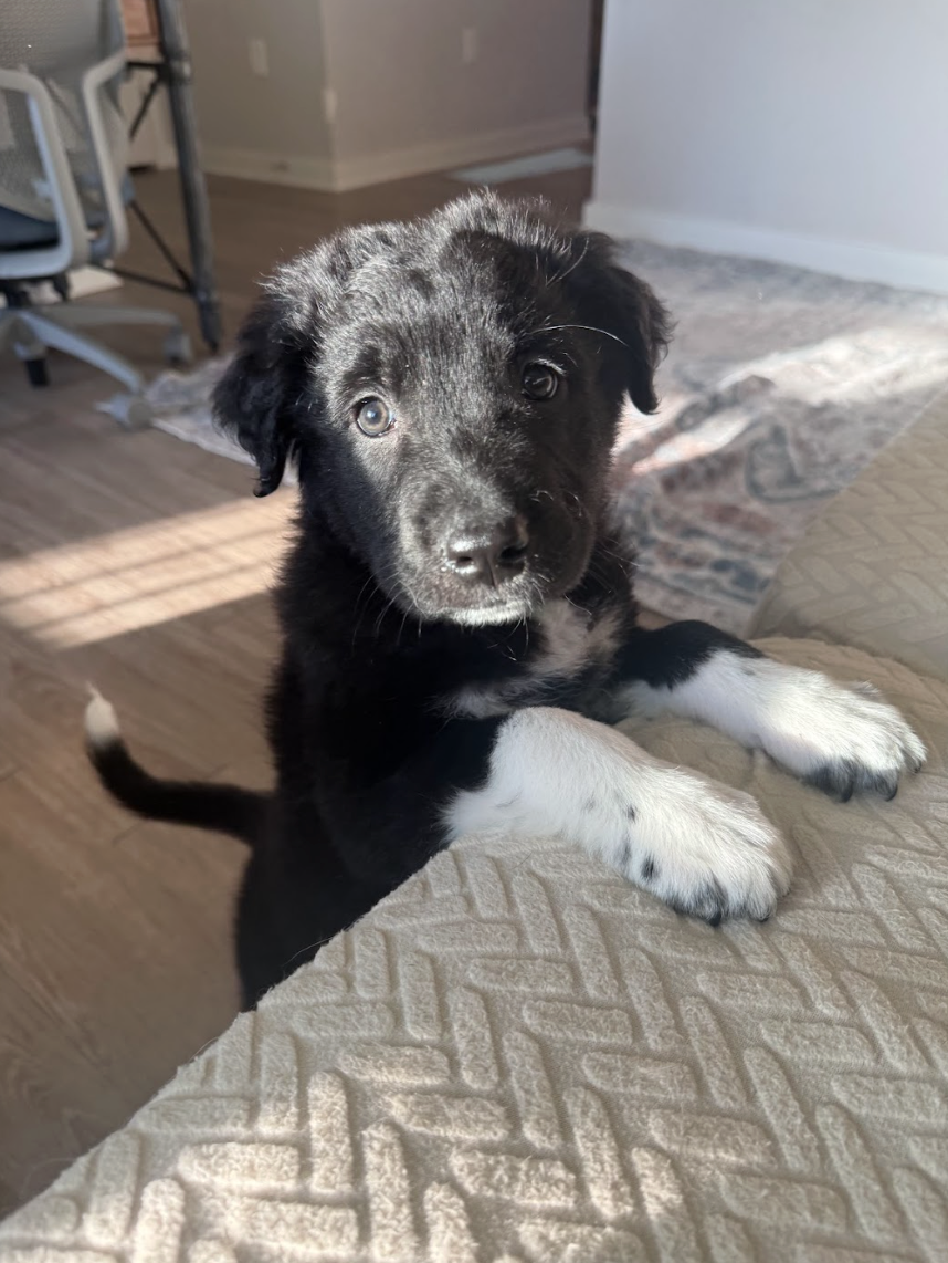 Screenshot 2026-04-23 at 6.50.03 PM.png