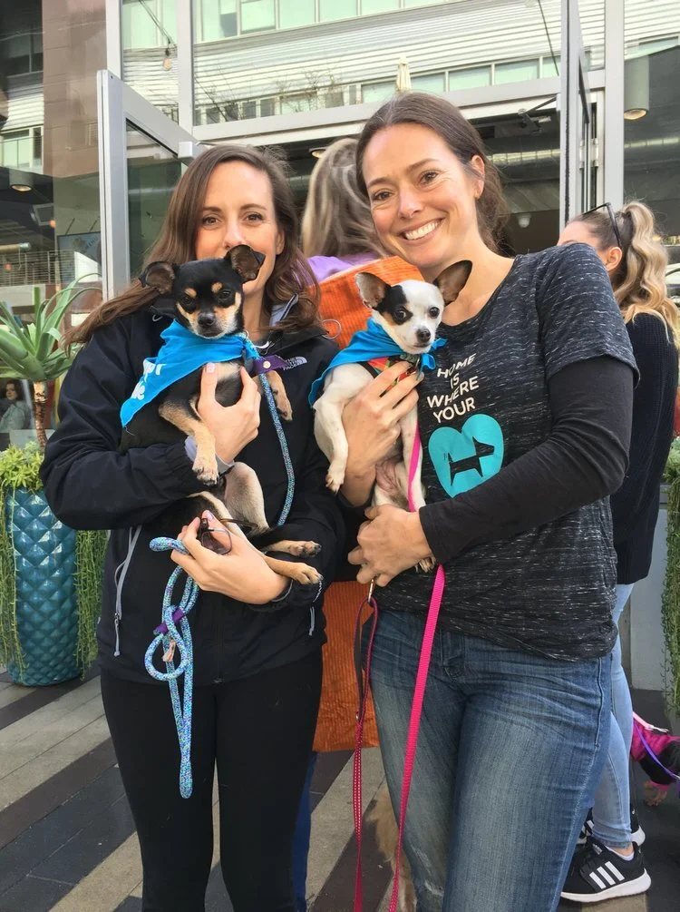 WagsWalks-Volunteer2.jpg