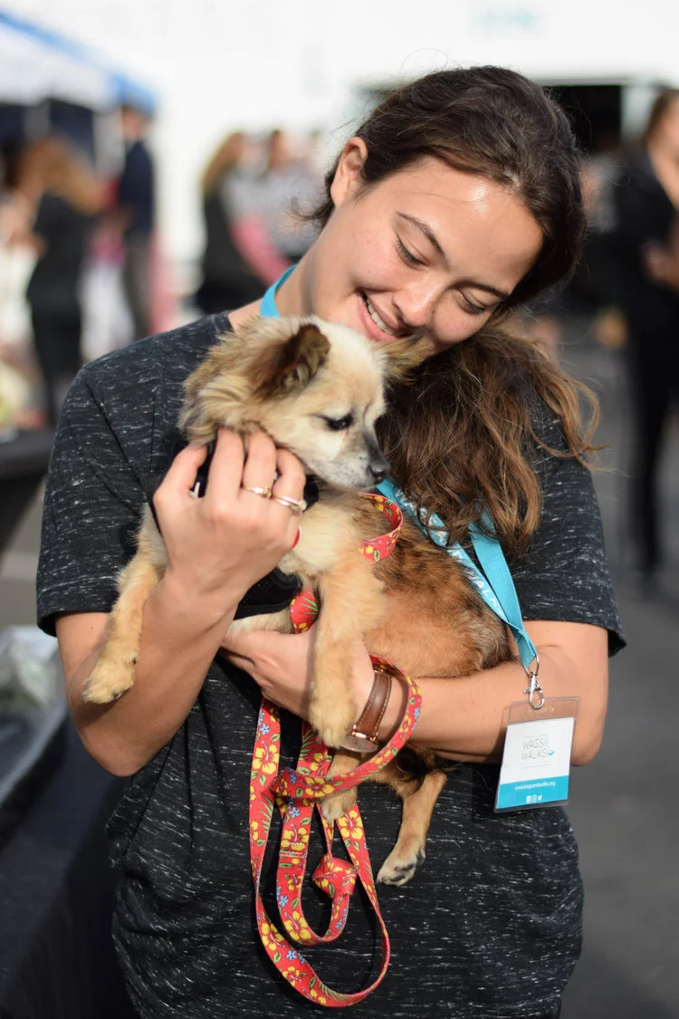WagsWalks-Volunteer3.jpg