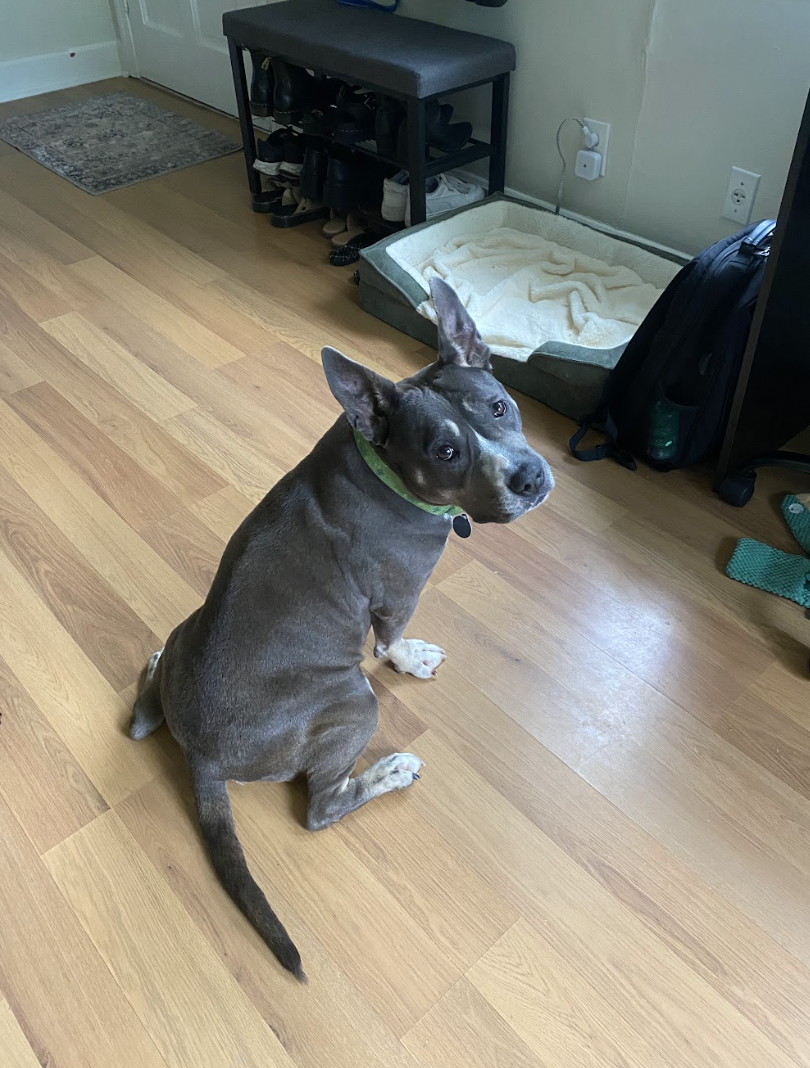 Screenshot 2026-04-22 at 3.27.41 PM.png