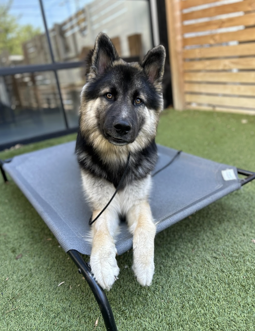 Screenshot 2026-04-23 at 1.45.02 PM.png