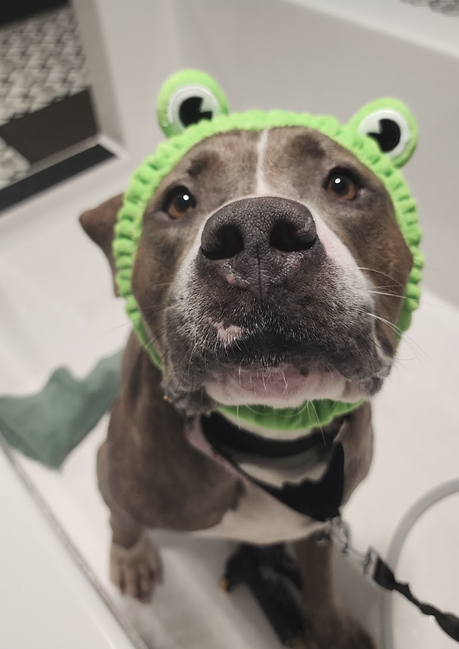 Screenshot 2026-04-13 at 3.02.15 PM.png