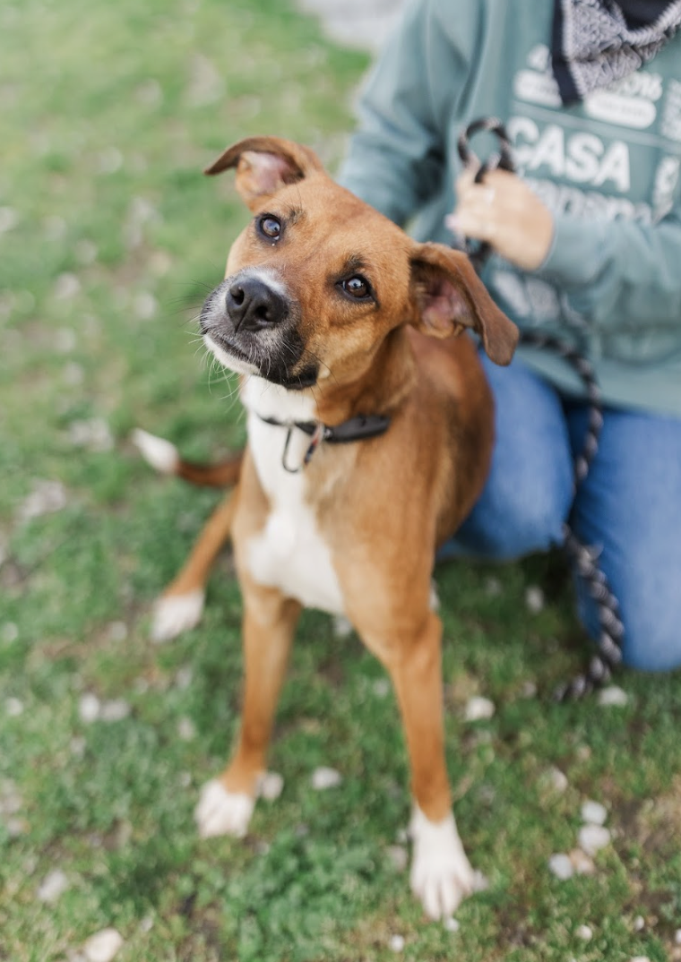 Screenshot 2026-03-20 at 2.29.42 PM.png