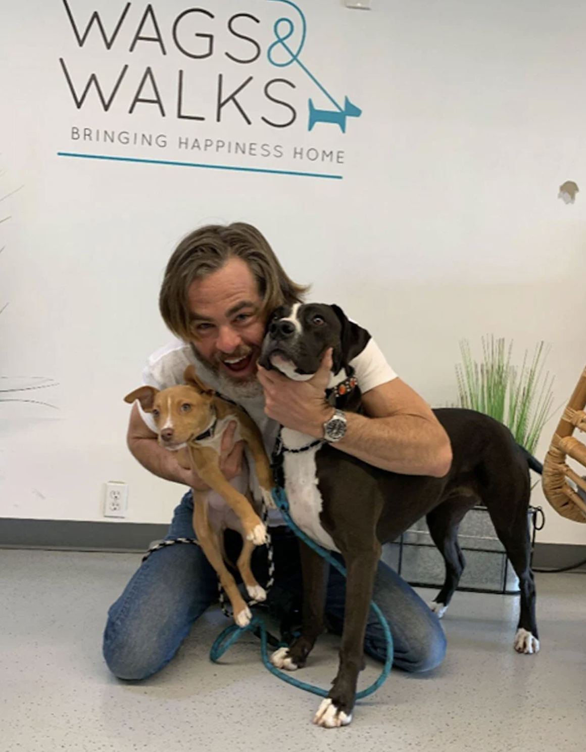 Chris Pine Adopts Adorable Rescue Pit Bull Named Babs: They Have a 'Sweet and Playful Bond'