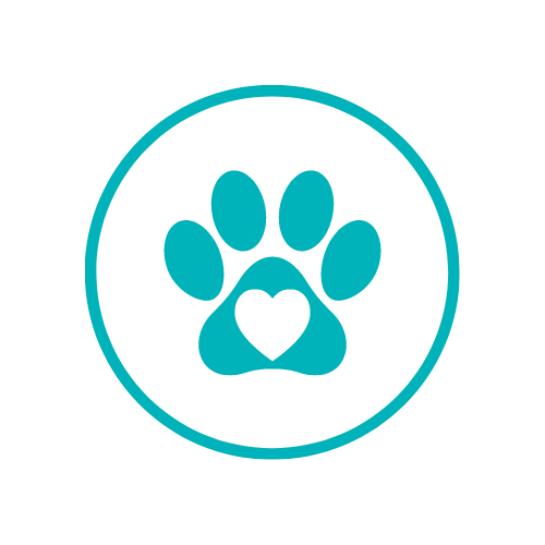 Wags and Walks | Adopt & Support Today