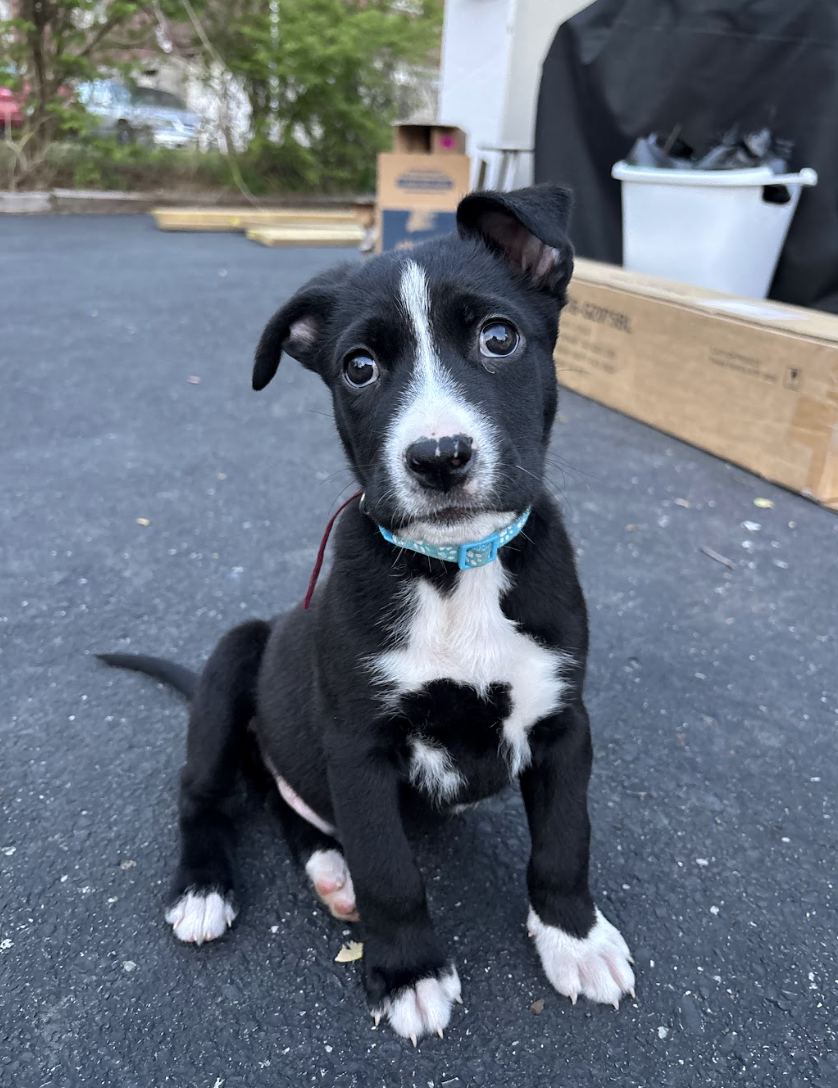 Screenshot 2026-04-03 at 2.07.05 PM.png