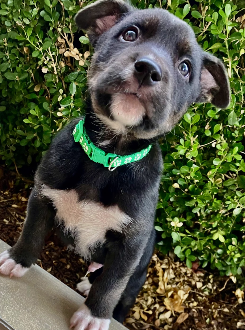 Screenshot 2026-01-15 at 7.46.02 PM.png