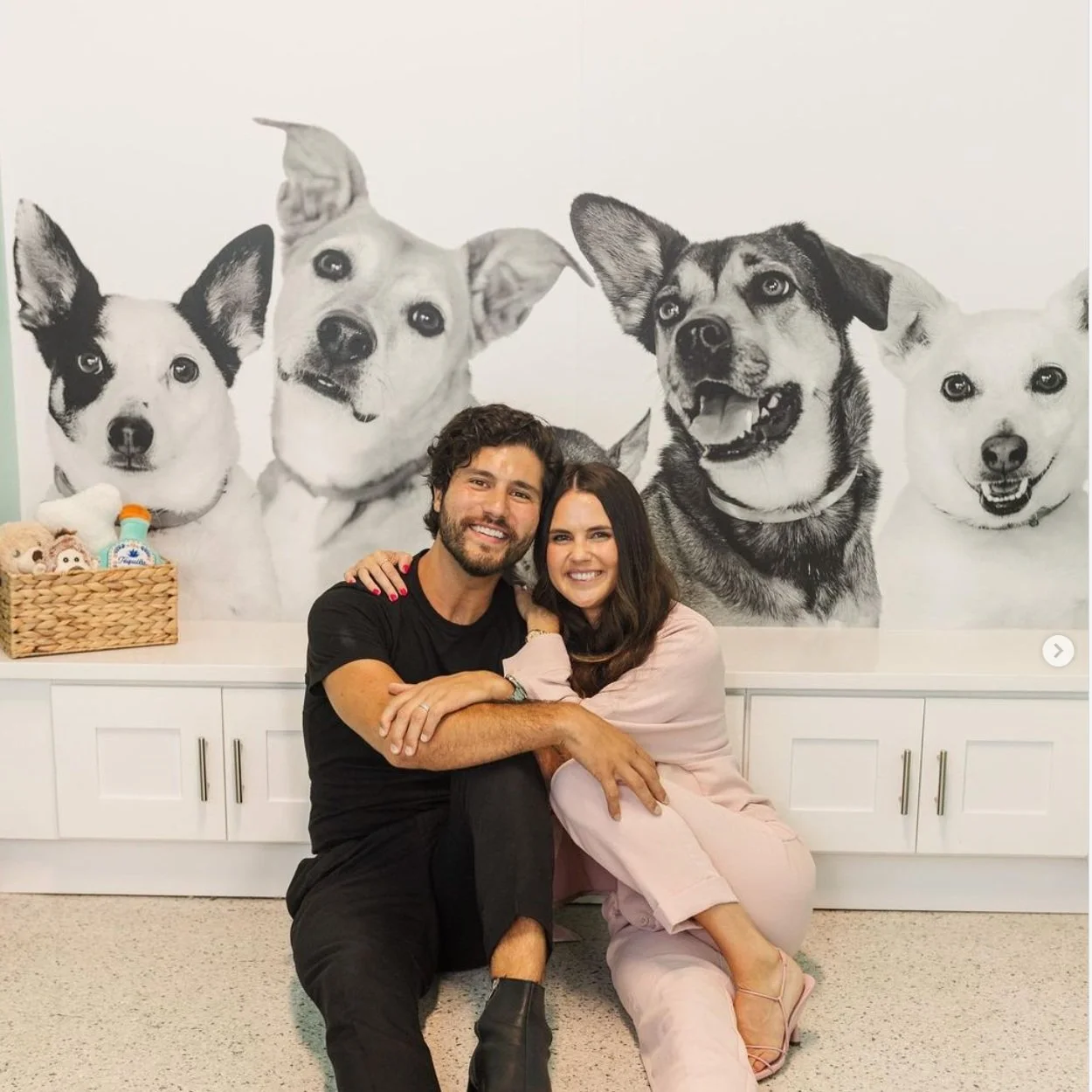 Dan and Abby Smyers help open Nashville branch of animal rescue group Wags &amp; Walks