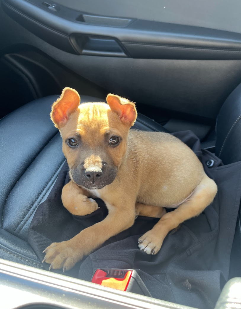 Screenshot 2026-02-20 at 3.32.37 PM.png